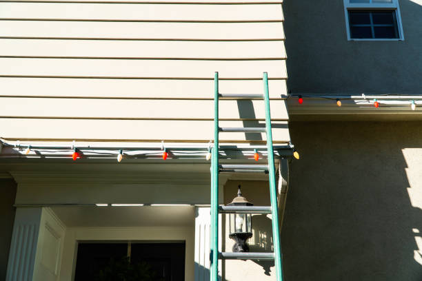 Best Fascia and Soffit Installation  in Keyes, CA